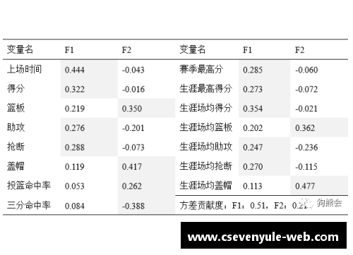 NBA球员用球开销详解及影响因素分析