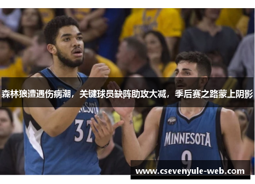 森林狼遭遇伤病潮，关键球员缺阵助攻大减，季后赛之路蒙上阴影
