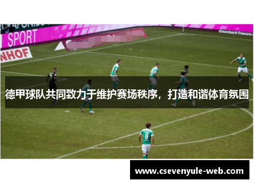 德甲球队共同致力于维护赛场秩序，打造和谐体育氛围